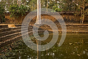 Tree`s Reflection in a Pool of Water by an Ancient Temple Wall in Angkor