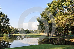 Tree s reflection in water