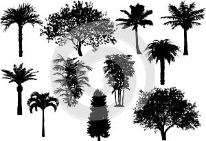 Tree`s silhouette vector illustration set photo