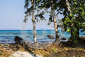 Tree at a sand beach with clear sea water and blue sky. Island i