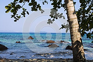 Tree at a sand beach with clear sea water and blue sky. Island i