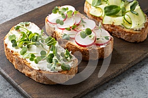 Tree sandwiches with fresh radish microgreens and cream cheese on grey background. Close up photo