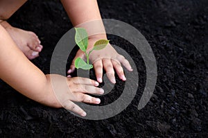 Tree sapling Baby Hand On the dark ground, the concept implanted children`s consciousness into the environment
