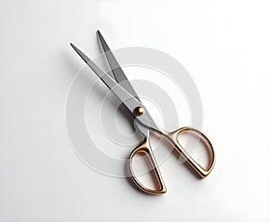 Fabric Scissors Isolated on White