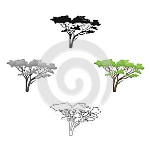 Tree in the savannah.African safari single icon in cartoon,black style vector symbol stock illustration web.