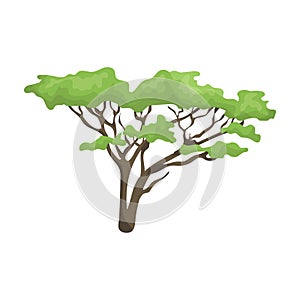 Tree in the savannah.African safari single icon in cartoon style vector symbol stock illustration web.