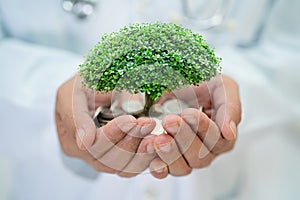 Tree on save money coins in hand of doctor, Business finance investment.