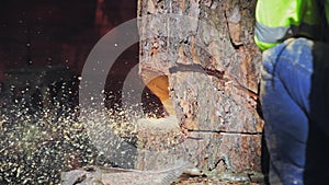 Tree sawing chainsaw fly sawdust