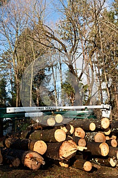 Tree service truck