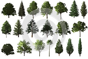 tree set for architecture landscape design