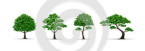 Tree set realistic vector illustration