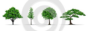 Tree set realistic vector illustration photo
