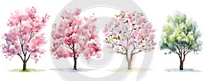 Tree set in spring colors isolated on white, tree collection, spring blossom, illustration generative ai