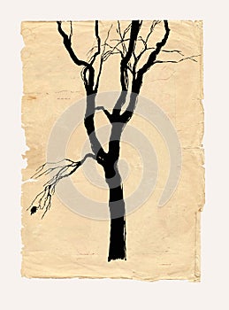 Tree shabby paper drawing