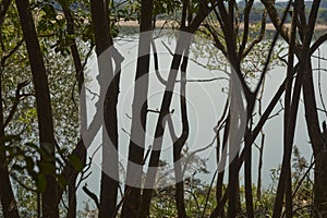 Tree-shaded area next to a creek within El Palmar National Park