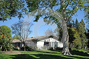 Tree shaded home in Laguna Woods, Caliornia