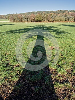 Tree Shadow Across English Countryside