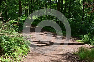 Tree Shadow on a Forest Path