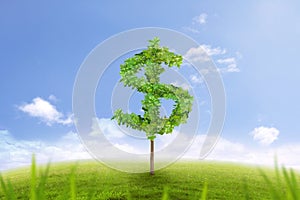 Tree in the shape of dollar sign, financial success