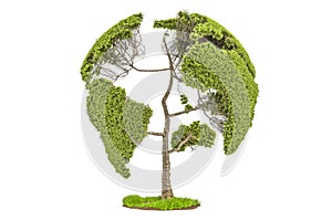 Tree in the shape of Earth Globe, environment concept. 3D render