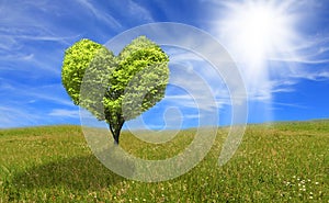 Tree in shape of heart, eco concept.