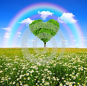 Tree in the shape of heart