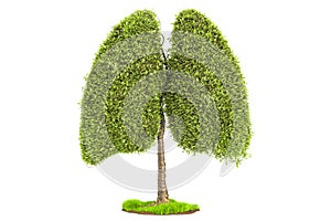 Tree in the shape of lungs, eco concept. 3D rendering