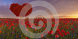 Tree in the shape of a red heart on the poppy meadow-symbol of love and Valentine`s Day