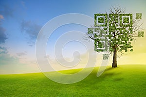 Tree shaped like qrcore with the green mountain and blue sky background. Technology ,Business and Nature Concept