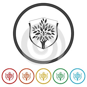 Tree shield icon. Set icons in color circle buttons