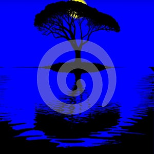 Tree shilouette on water with sun vector photo
