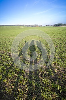 Tree shodows of people