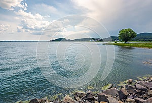 Tree on the shore of Zemplinska Sirava in summer