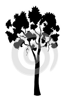 Tree silhouette vector illustration.Tree