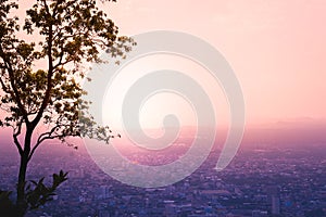 Tree silhouette and Abstract urban landscape