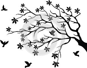 tree silhouette with bird flying