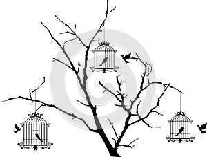 Un albero birdwatching volare un uccello gabbia 