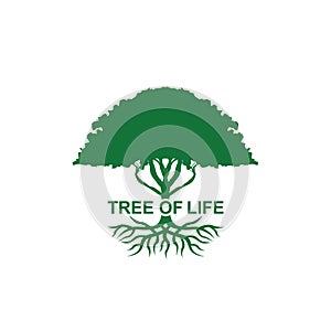 Tree of life Silhouette green