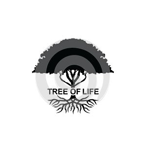 Tree of life Silhouette