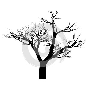 Tree silhouette. Black icon with dry branches isolated on white background. wood winter. Trees in winter. Outline drawing. Twig el