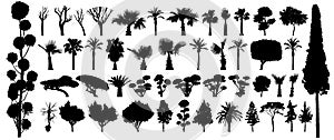 Tree silhouette black vector. Isolated set forest plants bushes on white background photo