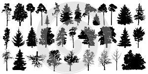 Tree silhouette black vector. Isolated set forest trees on white background photo