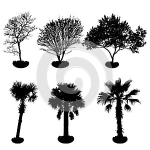 Tree Silhouette Black And White Vector