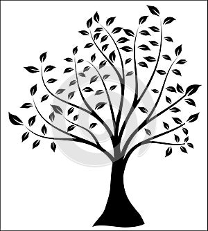 Tree Silhouette, Black and White Vector Shape