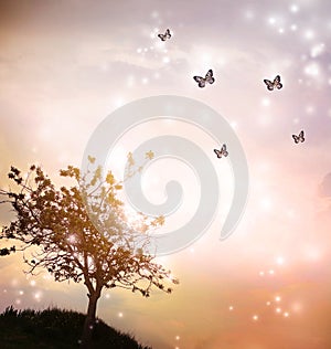 Tree silhouette with butterflies in twilight