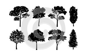 Tree silhouette Collections Set