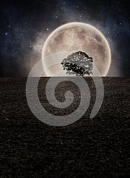 Tree silhouette on field horizon again shine moon and night cloudy sky with stars. Photo manipulation. Elements furnished by NASA
