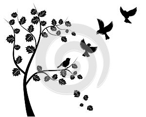 Tree silhouette and flying birds isolated on white background, vector illustration