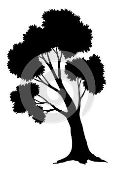 Tree silhouette. Forest and park deciduous tree. Vector nature isolated retro image