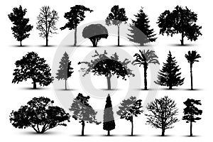 Tree silhouette, forest vector. Nature park. Isolated set, tree on white background.